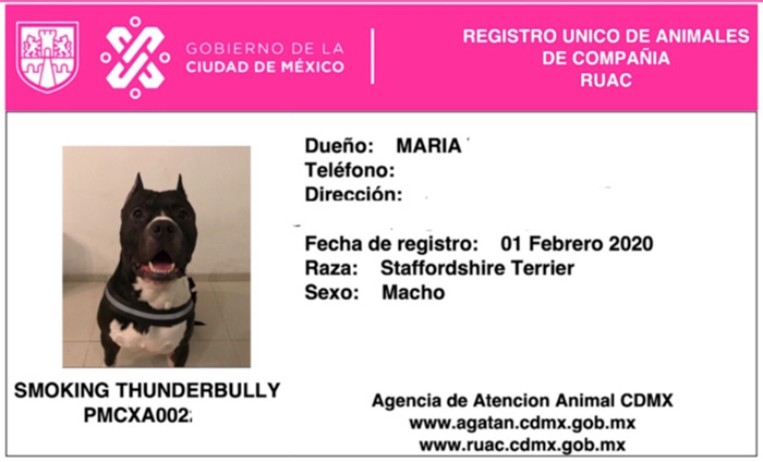 dónde puedo obtener un certificado de salud para mi perro